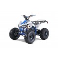 Tao Motor G125 ATV Blue
