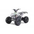 Tao Motor G125 ATV Green