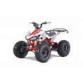 Tao Motor G125 ATV Red