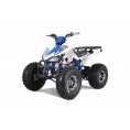 Tao Motor 125 Cheetah Platinum ATV Blue