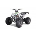 Tao Motor 125 Cheetah Platinum ATV Green