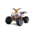 Tao Motor 125 Cheetah Platinum ATV Orange
