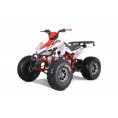 Tao Motor 125 Cheetah Platinum ATV Red
