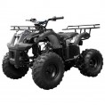 Tao Motor 125 TForce Mid-size ATV Spider Black