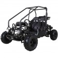 Tao Motors 110 GK110 Kids Go Kart Black