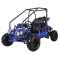 Tao Motors 110 GK110 Kids Go Kart Blue