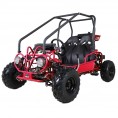 Tao Motors 110 GK110 Kids Go Kart Red