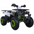 Tao Motor 200 Sport ATV Green/White