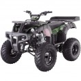 Tao Motor 250 Rhino Adult Utility ATV Tree Camo