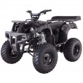Tao Motor 250 Rhino Adult Utility ATV Black