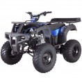 Tao Motor 250 Rhino Adult Utility ATV Blue