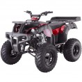 Tao Motor 250 Rhino Adult Utility ATV Red Burgundy