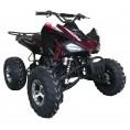 Cougar 200 Sport Adult ATV Burgundy