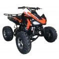Cougar 200 Sport Adult ATV Orange