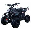 Vitacci Hawk 110cc Kids ATV Spider Black