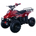 Vitacci Hawk 110cc Kids ATV Spider Red