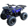 Vitacci Rider-10 125cc ATV Spider Blue