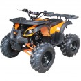 Vitacci Rider-10 125cc ATV Orange