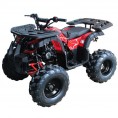 Vitacci Rider-10 125cc ATV Spider Red