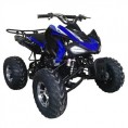 Cougar 200 Sport Adult ATV Blue