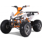 Tao Motor 125 Cheetah Platinum Mid-Size ATV - Free Assembly 