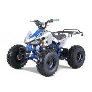 Tao Motor G125 Mid-Size ATV - Free Assembly 