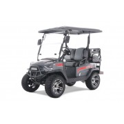 Tao Motor Champ Electric Golf Cart
