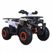 Tao Motor 200 Sport Adult ATV - Free Assembly
