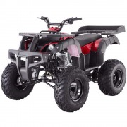 Tao Motor 250 Rhino Adult ATV 