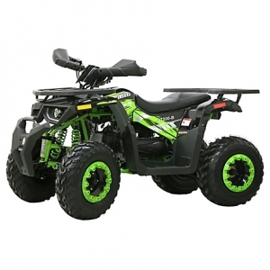 Coleman 200cc Adult ATV - Green & Black 