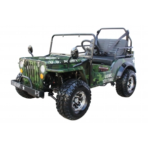 Coolster 6125a mini go kart