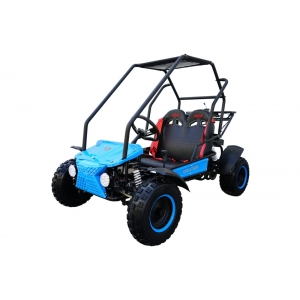 Coolster 125cc 6125B Automatic Go Kart