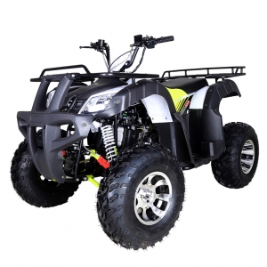 Tao Tao bull 200 Type Adult ATV