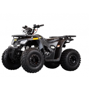Tao Motor Mud Hawk 10 125 Kids ATV