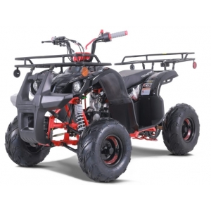 Tao Motor D125 NEW Kids 125cc ATV - Free Assembly