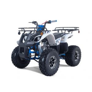 Tao Motor 125 T-Force Platinum Mid-Size ATV - Free Assembly