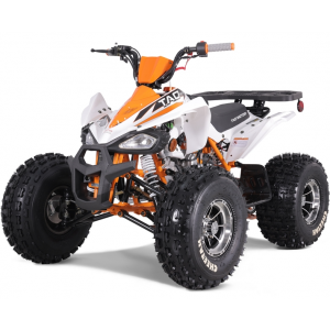 Tao Motor 125 Cheetah Platinum Mid-Size ATV - Free Assembly 