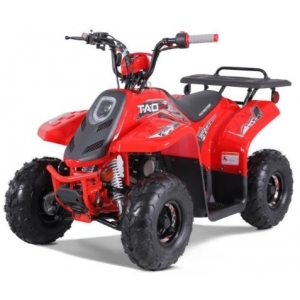 TaoTao Rock 110 with Reverse Kids ATV - Free Assembly 
