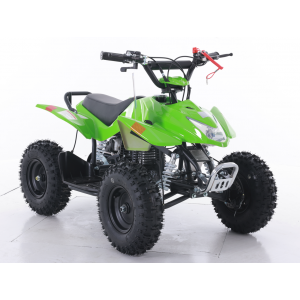 Mini Boulder 40cc Kids ATV