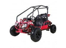 Tao Motor 110 GK110 Kids Kids Go Kart - Free Assembly