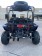 Vitacci T-Rex 125 Go Kart