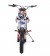 Tao Motor 140cc DBX1 Adult Dirt Bike - Free Assembly