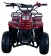 Vitacci Hawk Kids 110cc ATV
