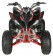 Vitacci 250 Pentora Racing ATV