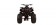 Cougar 200 Sport Adult ATV