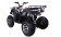 Tao Tao bull 200 Type Adult ATV
