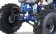 Tao Motor G125 Mid-Size ATV - Free Assembly 