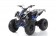 Vitacci 125cc ATV Type Falcon X - Blue