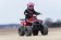 Tao Motor Mud Hawk 6 110 Kids ATV