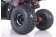 Tao Motor 125 Mud Hawk10 Kids Rival ATV - Free Assembly